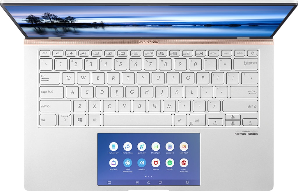 Laptop ASUS UX434FAC-A6116T