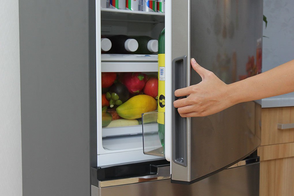 Tủ lạnh Electrolux EBE3500AG-RVN - 350 Lít