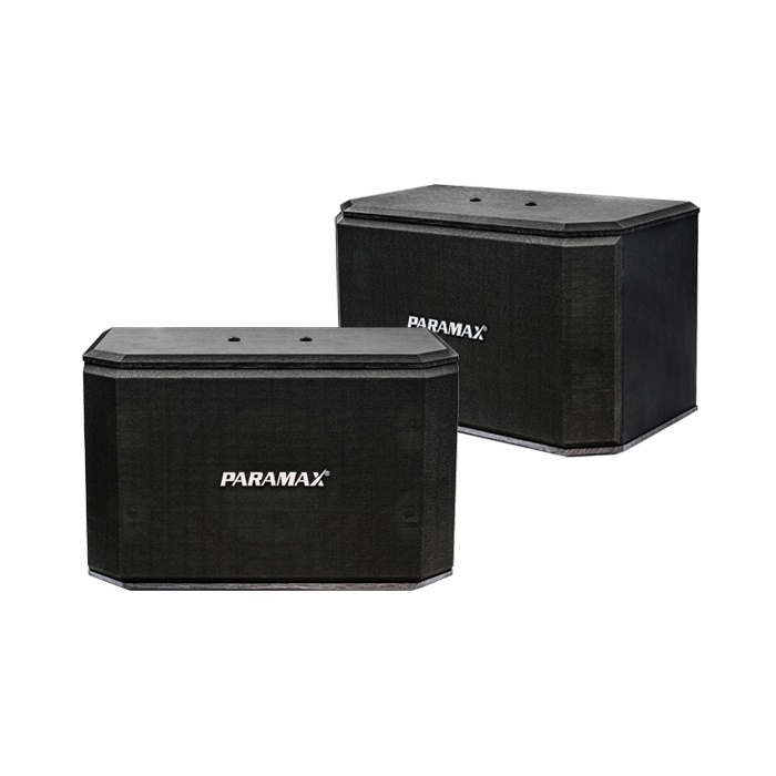 Loa karaoke Paramax P-1000 2000W