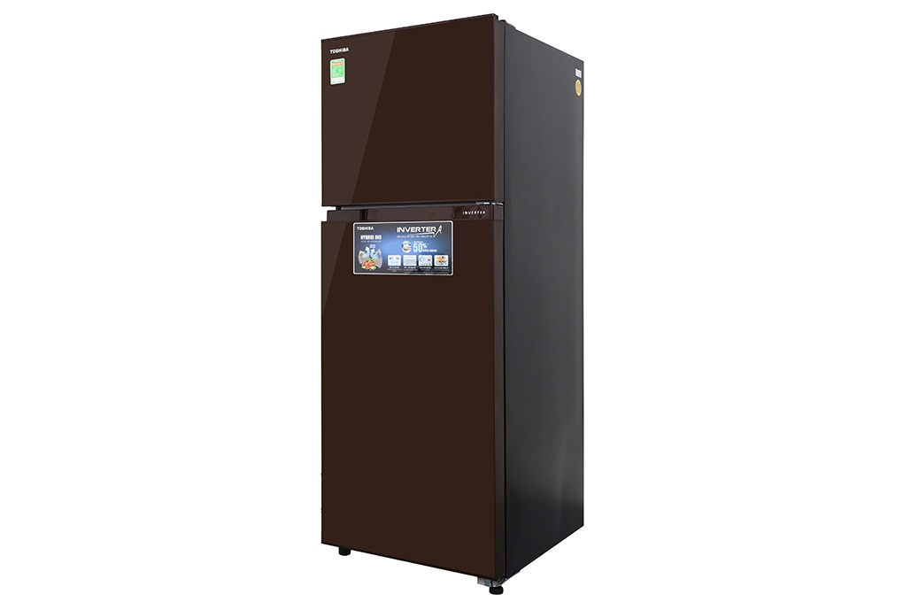 Tủ lạnh 2 cánh Inverter Toshiba GR-AG36VUBZ/XB - 305 Lít (Gương Nâu)