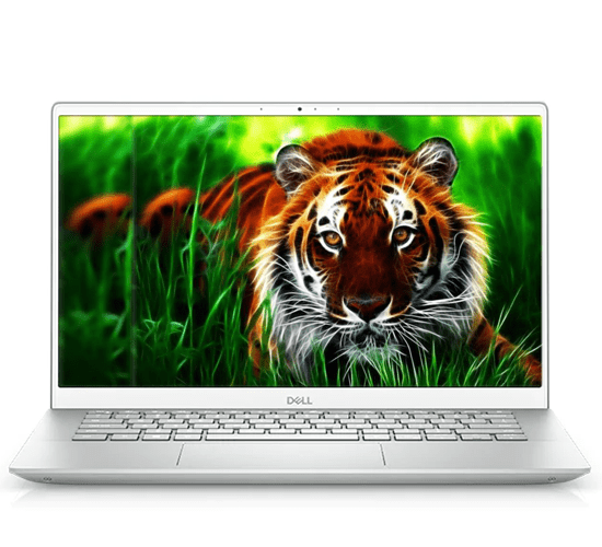 Laptop Dell Inspiron 5402 (N5402A) Bạc