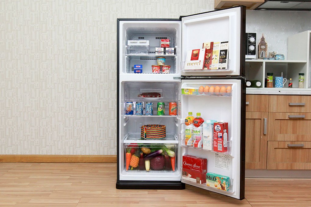Tủ lạnh Mitsubishi Electric MR-FV24J-BR-V - 204 Lít (Nâu)
