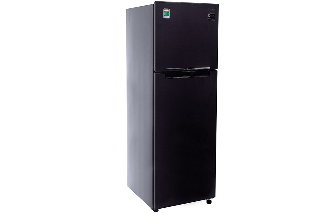 Tủ lạnh Samsung RT25M4033UT/SV - 256L Digital Inverter