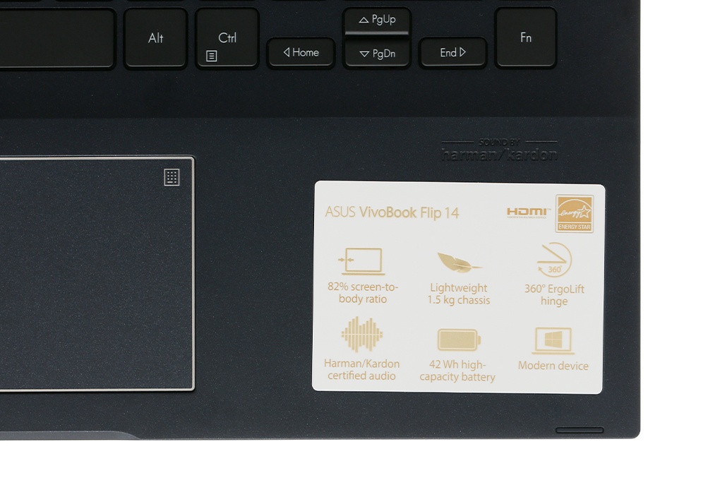 Laptop Asus VivoBook Flip 14 TM420IA-EC031T Đen