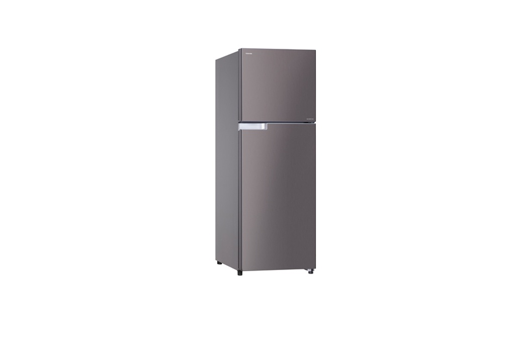Tủ lạnh Toshiba T46VUBZ(DS1) - 409 Lít