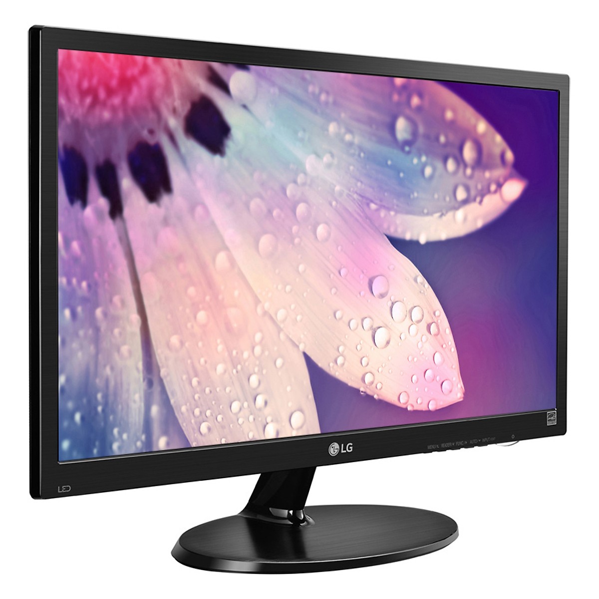Màn hình LG 20M39H-B 19.5Inch LED