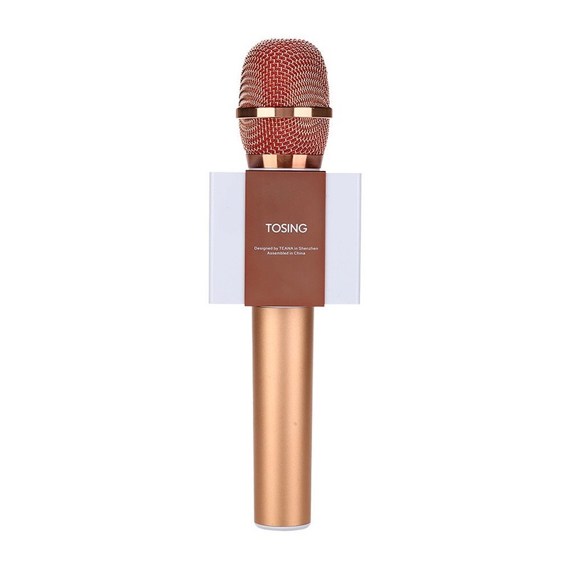 Mic Karaoke TOSING T008