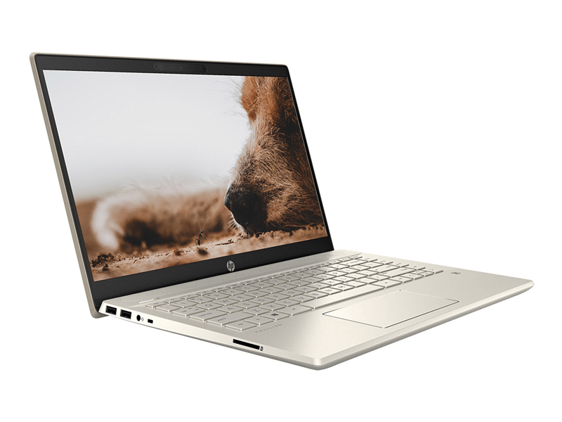 Laptop HP Pavilion 14-dv0013TU 2D7B8PA Vàng