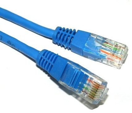 Dây mạng đầu đúc 10m - Cat 5E