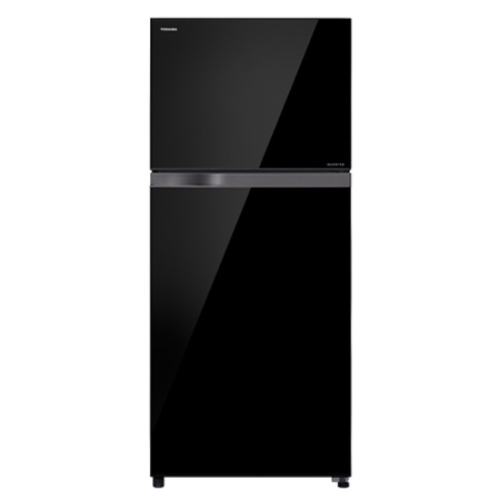 Tủ lạnh Toshiba 359 Lít TG41VPDZ(XK1)