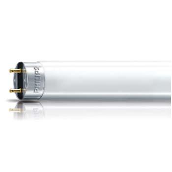 Bóng HQ Philips TL-D 18W/54-765 1SL/25