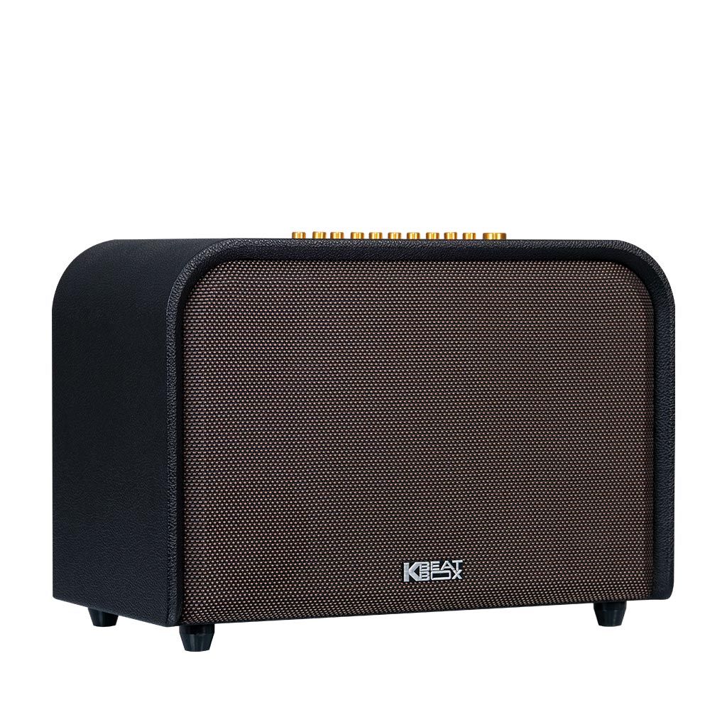 Dàn Âm Thanh Di Động ACNOS Acoustic 3 (2 mic)