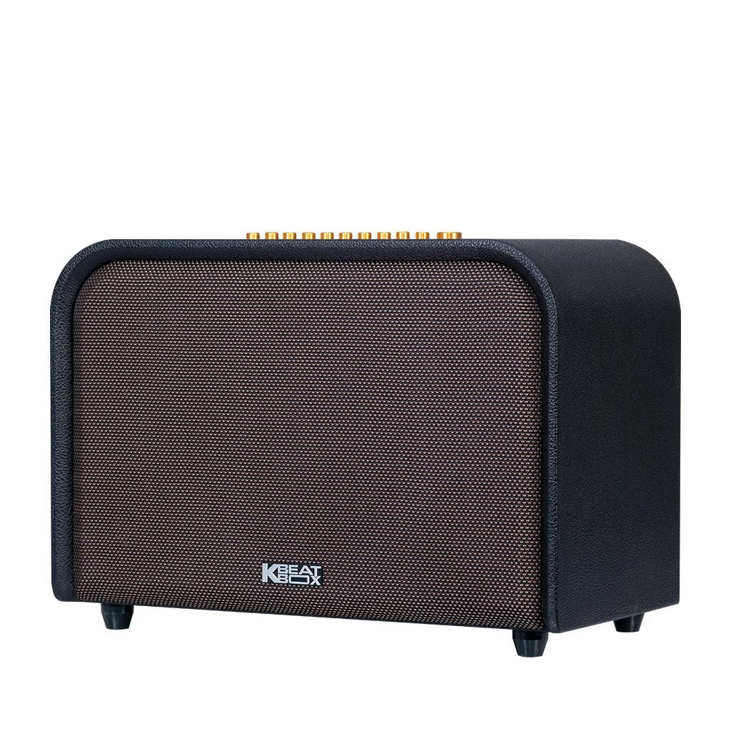 Dàn Âm Thanh Di Động ACNOS Acoustic 3 (2 mic)