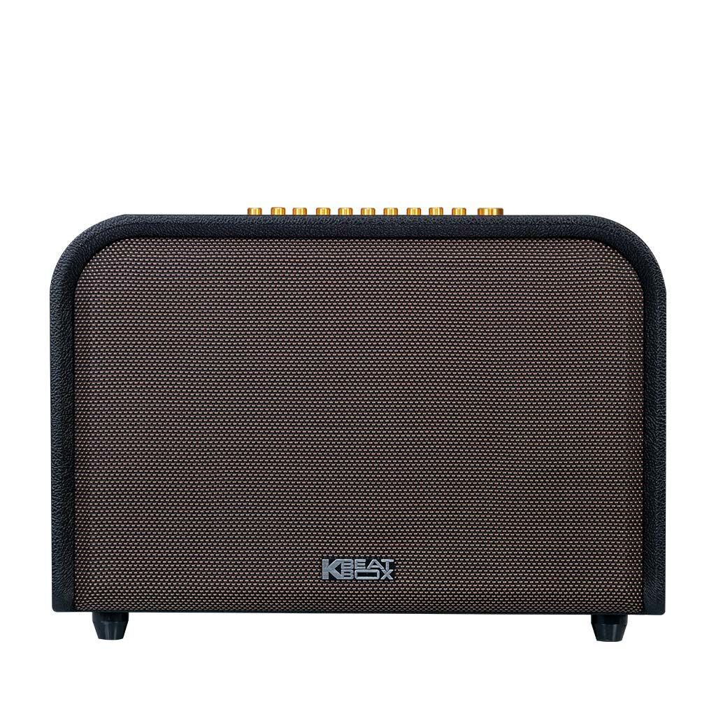 Dàn Âm Thanh Di Động ACNOS Acoustic 3 (2 mic)