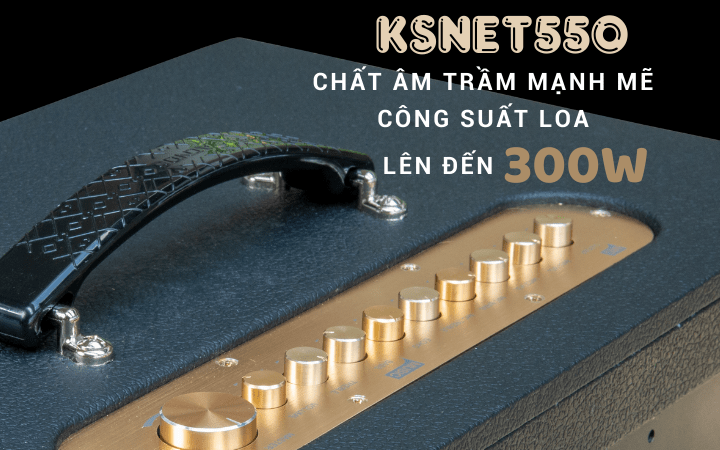 Loa xách tay Mini Karaoke ACNOS KSNet550 (kèm 2 Mic) 300W