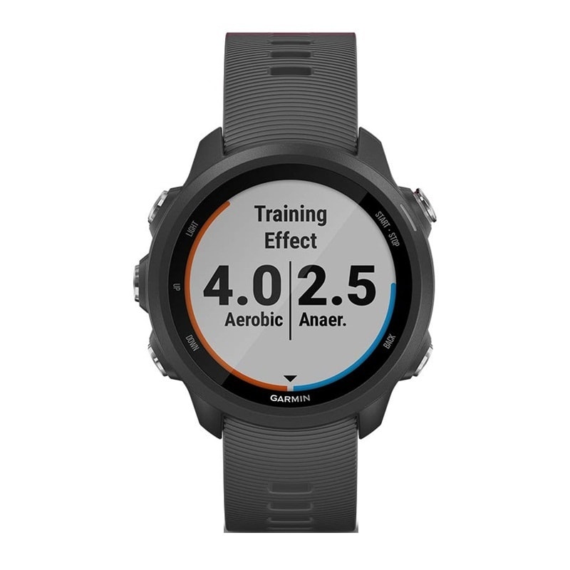 Đồng Hồ Thông Minh Garmin Forerunner 245 Slate