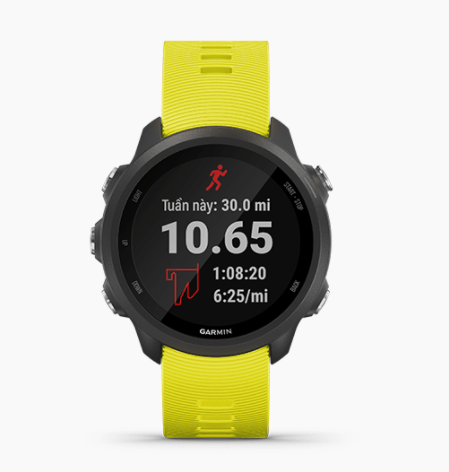 Đồng hồ thông minh Garmin Forerunner 245 Vàng