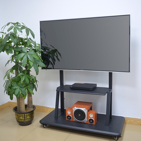 Giá Treo Tivi Di Động Ergotek E2500 (65-100)