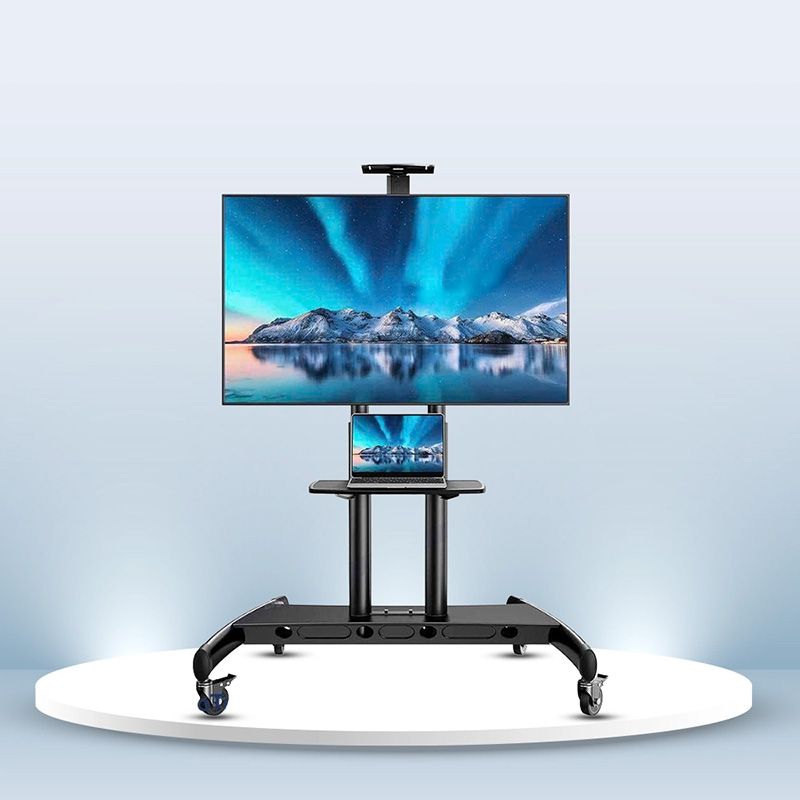 Giá treo tivi di động Ergotek E2600 55-100''