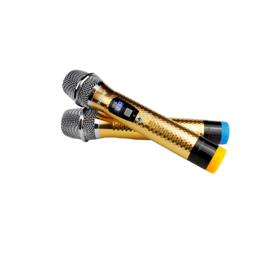 kéo Dalton TS-12G400X (Kèm 2 mic ko dây) 500W Bass 30cm