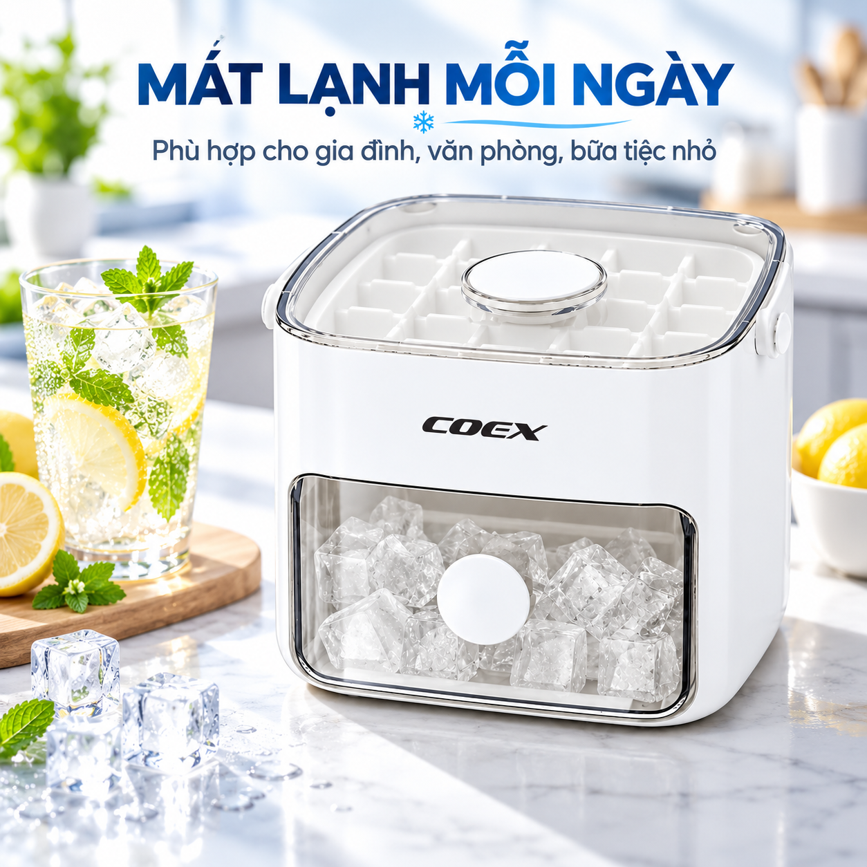 Khay đựng đá thông minh Coex