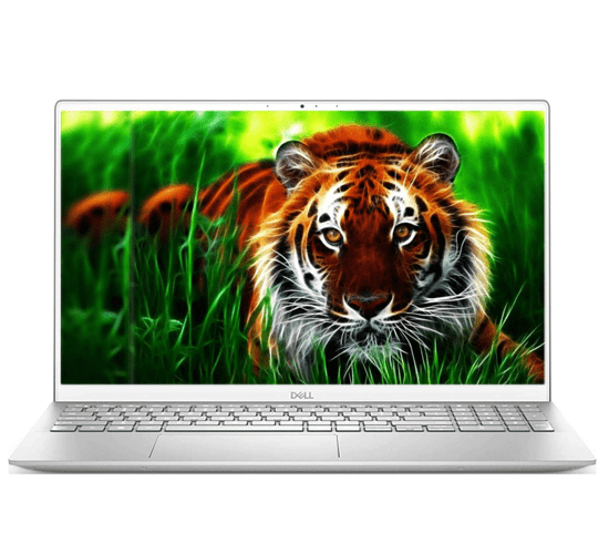 Laptop Dell Inspiron 5502 (N5502A) P102F002 Bạc