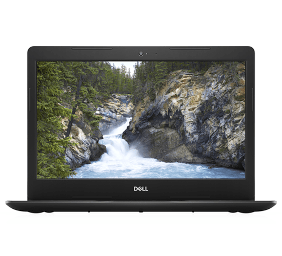 Laptop Dell Vostro 3491 70225483