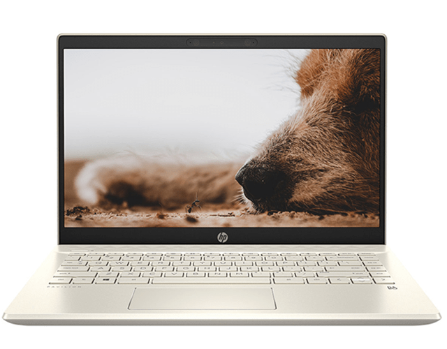 Laptop HP Pavilion 14-dv0013TU 2D7B8PA Vàng