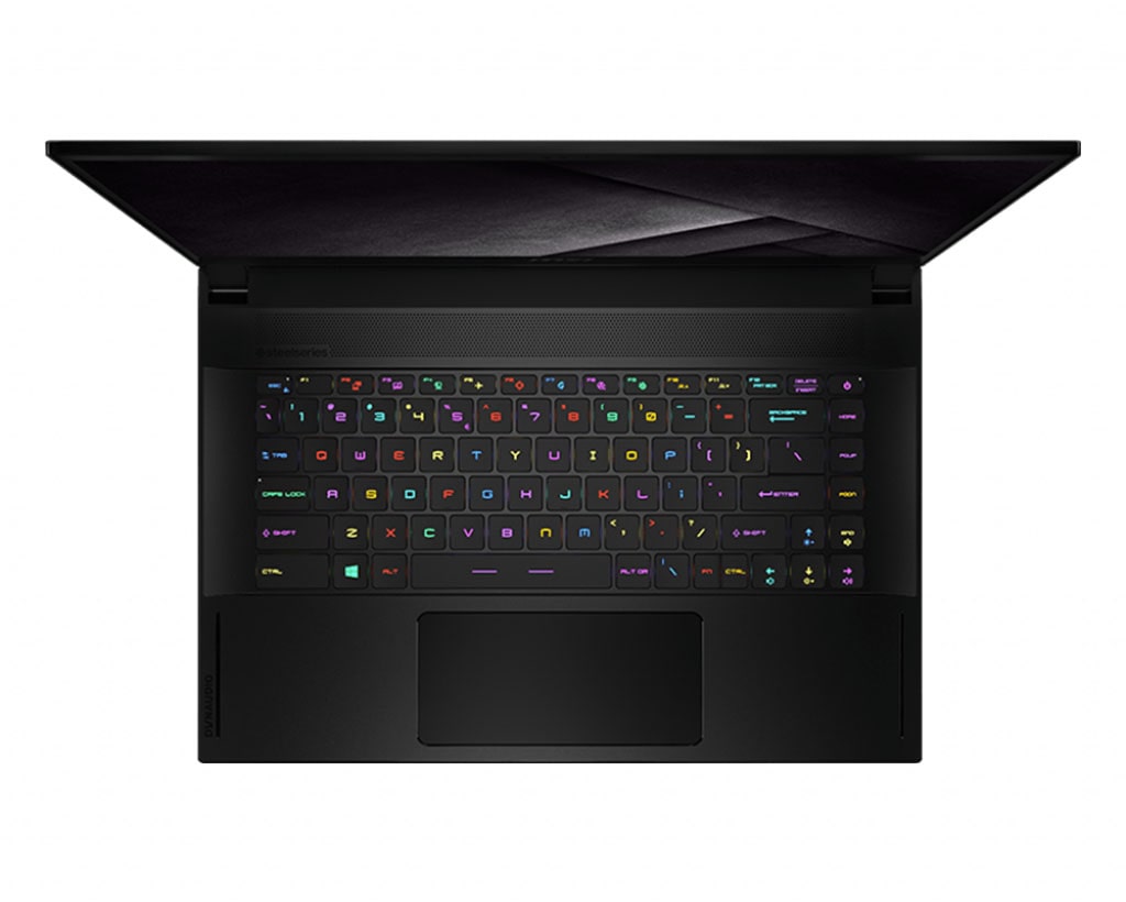 Laptop MSI GS66 Stealth 10SE 213VN