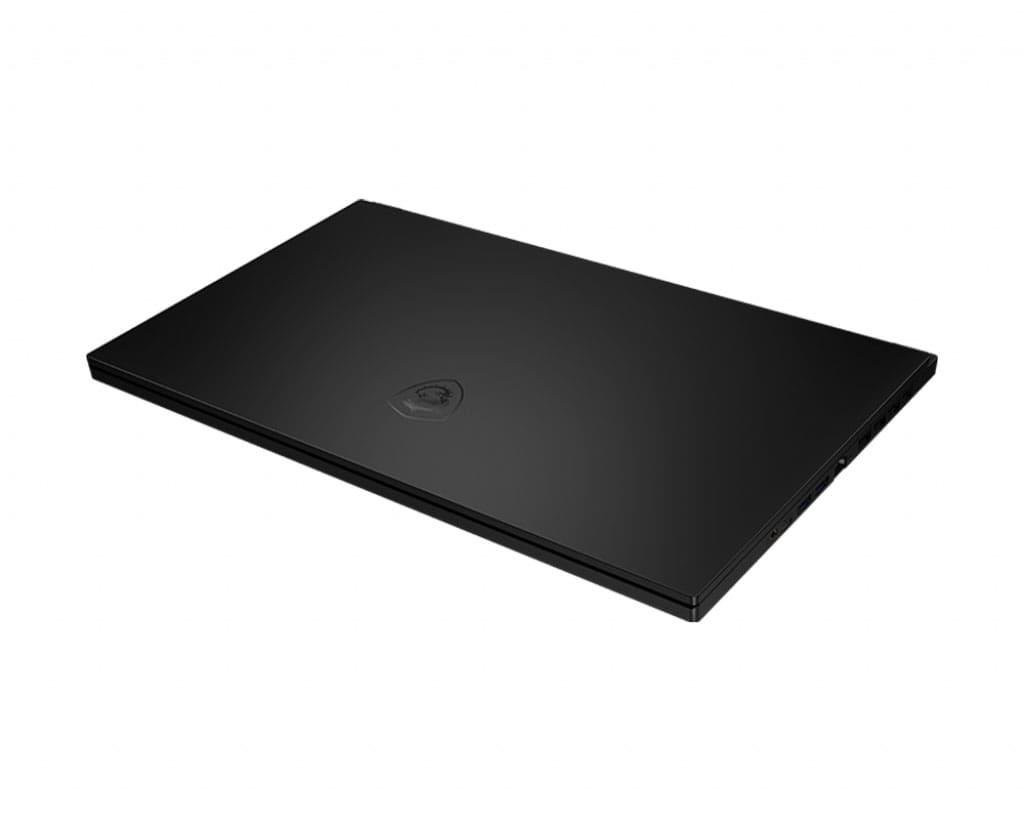 Laptop MSI GS66 Stealth 10SE 213VN