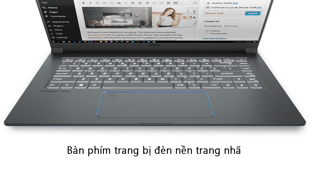 Laptop MSI Prestige 15 A10SC 222VN / Core I7/ SSD 512GB