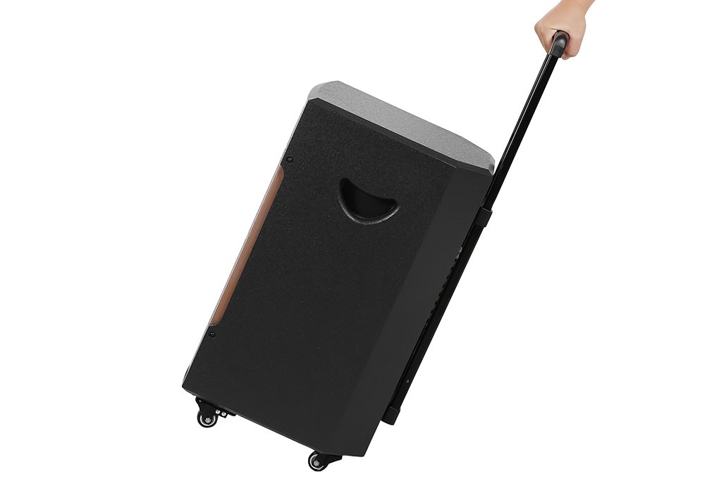 Loa Bluetooth Karaoke Dalton TS-12G350N
