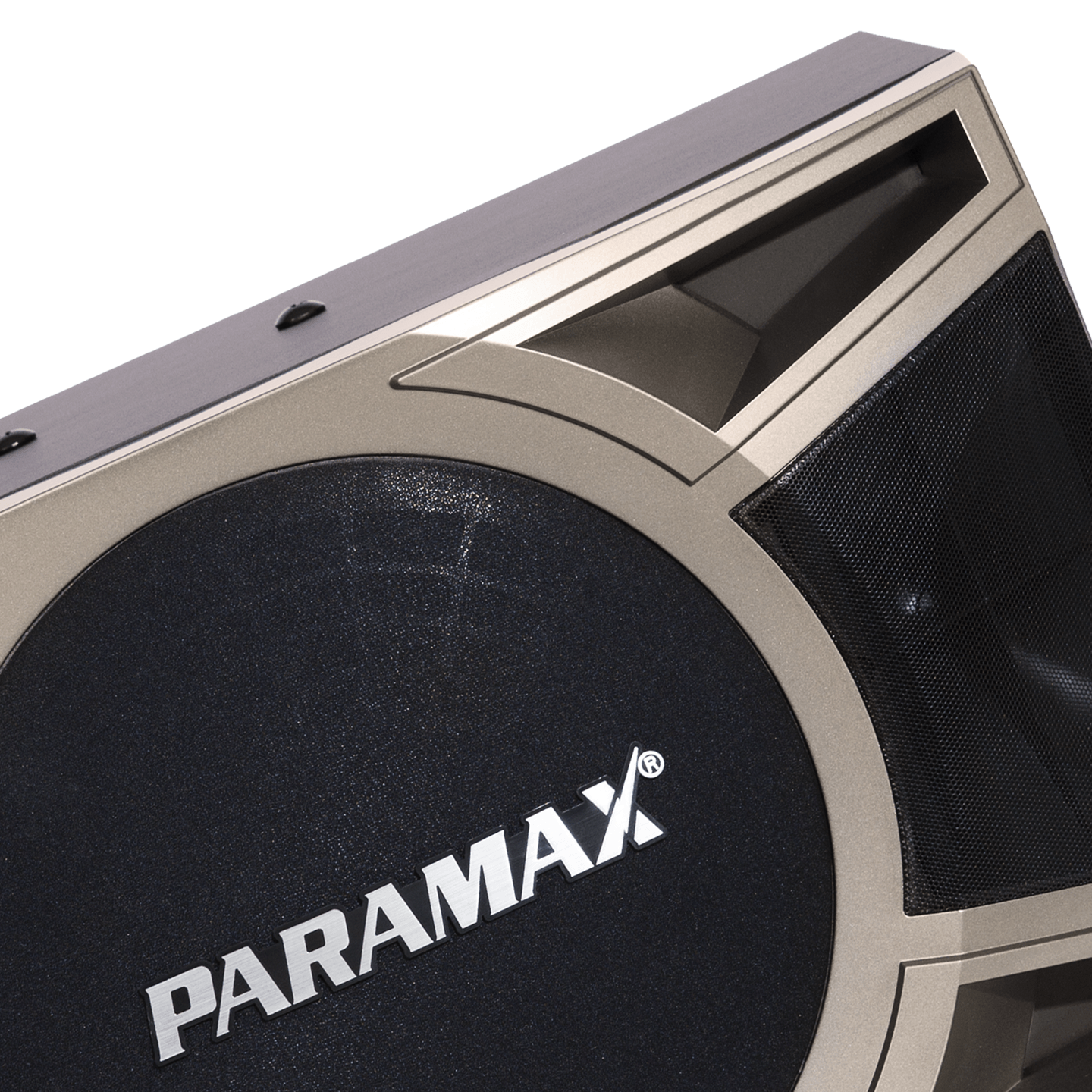 Loa Karaoke Paramax D-1000