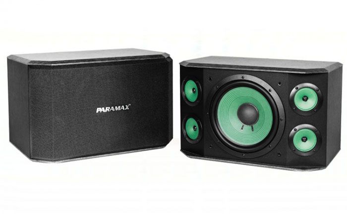 Loa karaoke Paramax P-1000 2000W