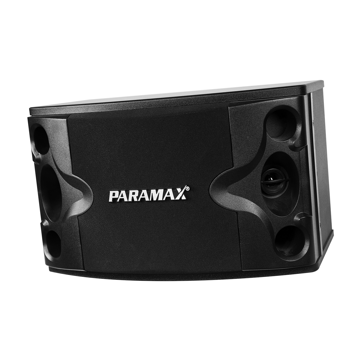 Loa karaoke Paramax P-300 400W