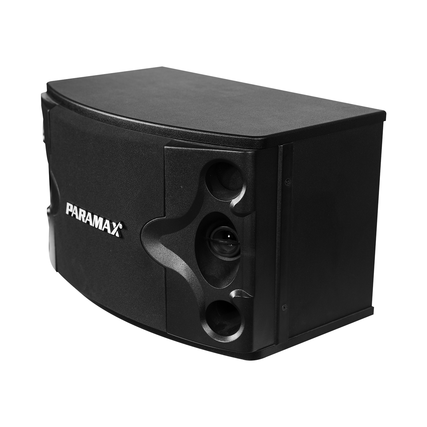 Loa karaoke Paramax P-300 400W