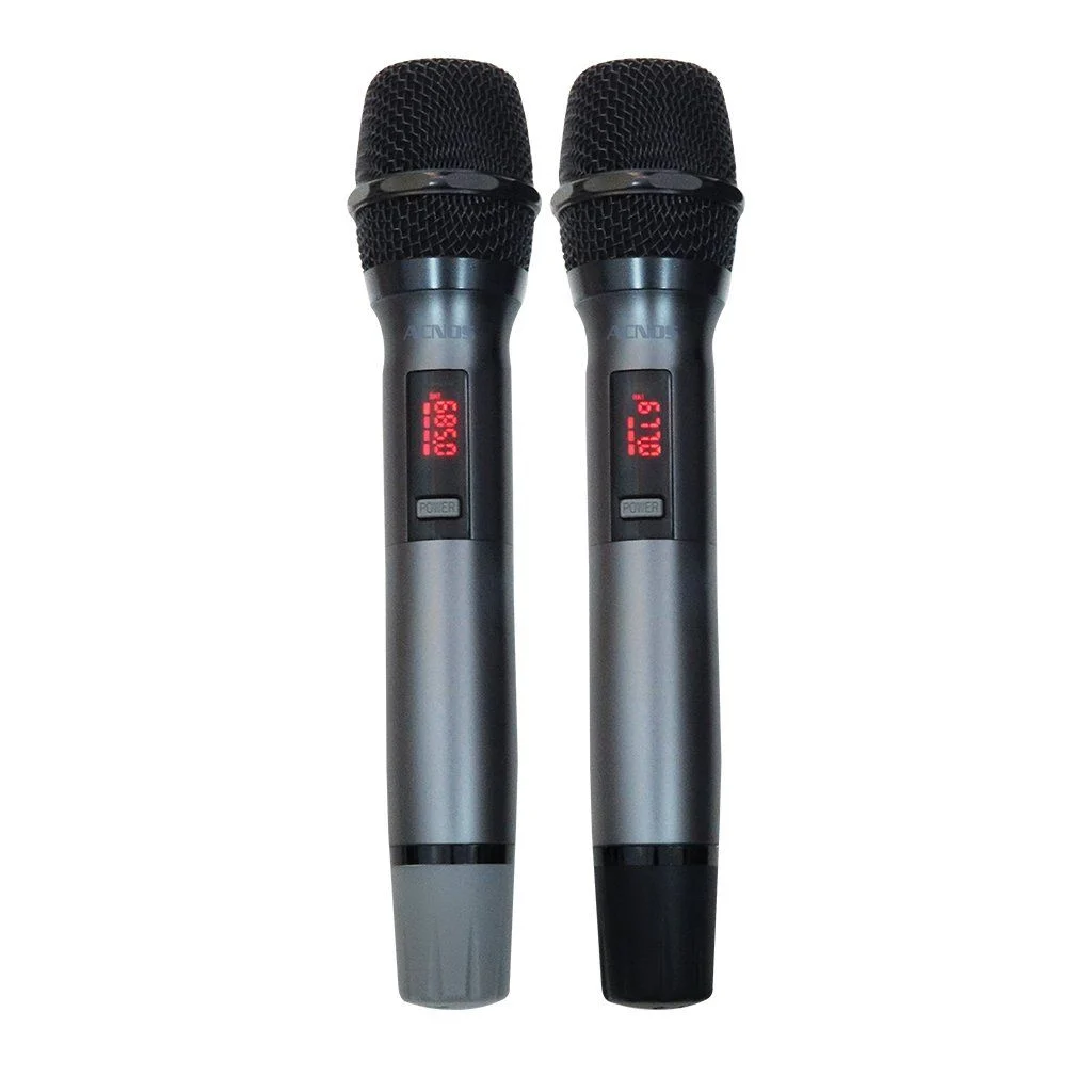 Loa kéo Acnos 600W Bass30 CB303G (2 mic)