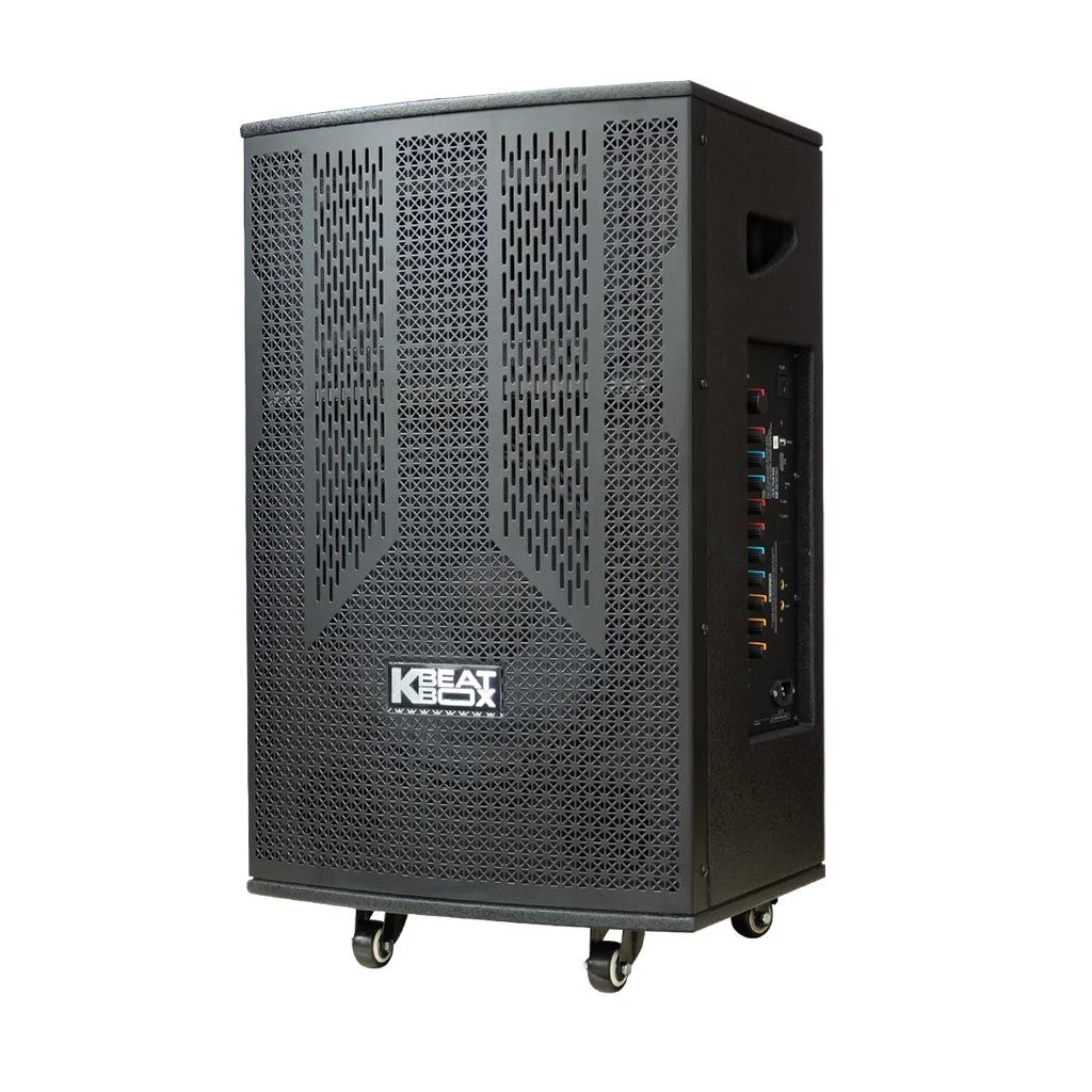 Loa kéo Acnos 600W Bass30 CB303G (2 mic)