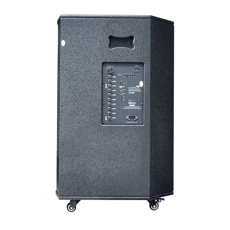 Loa kéo Acnos CB51NEO 1000W Bass50 (2 mic)