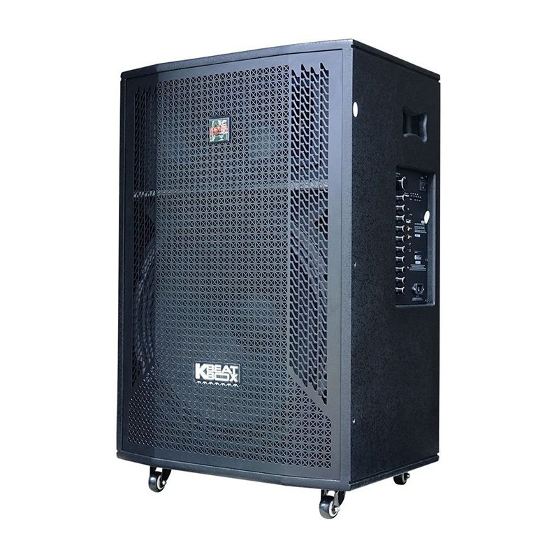 Loa kéo Acnos CB51NEO 1000W Bass50 (2 mic)