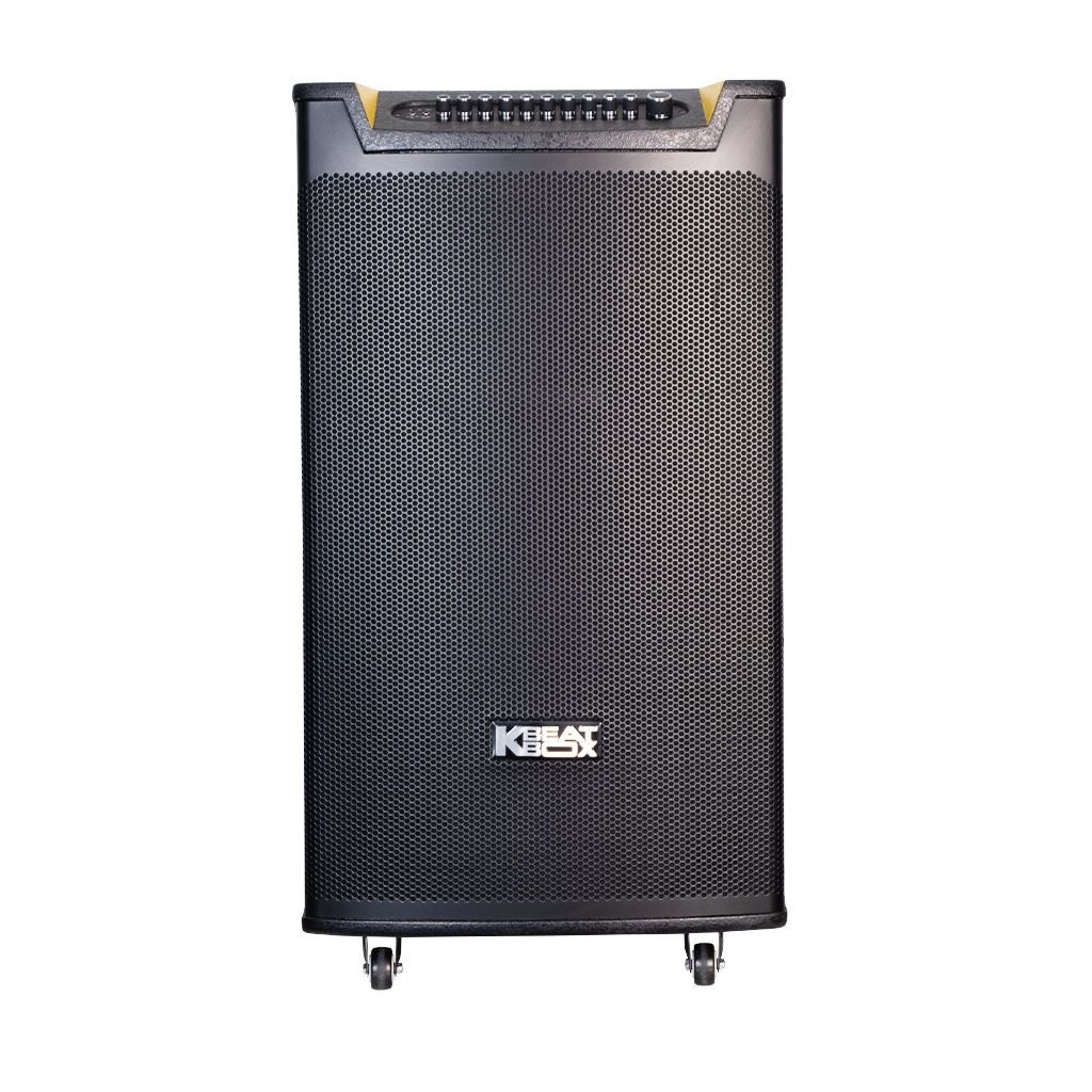 Loa kéo ACNOS TOP 430 1200W Bass40 (2mic)