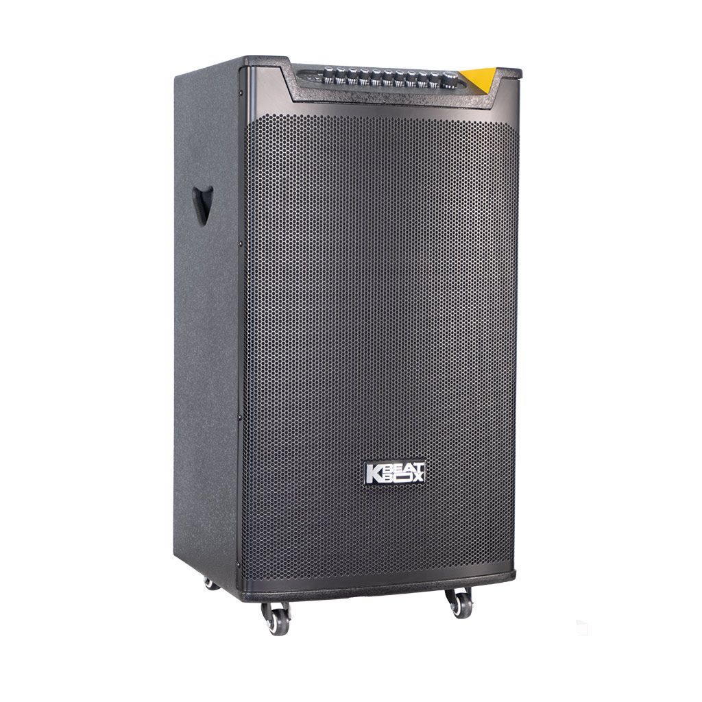 Loa kéo ACNOS TOP 430 1200W Bass40 (2mic)