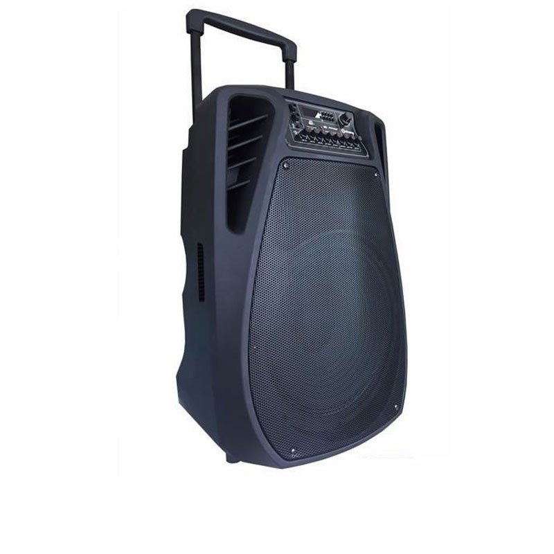 Loa kéo Arirang Mik -3600 (Kèm 2 mic) 600W Bass 40cm