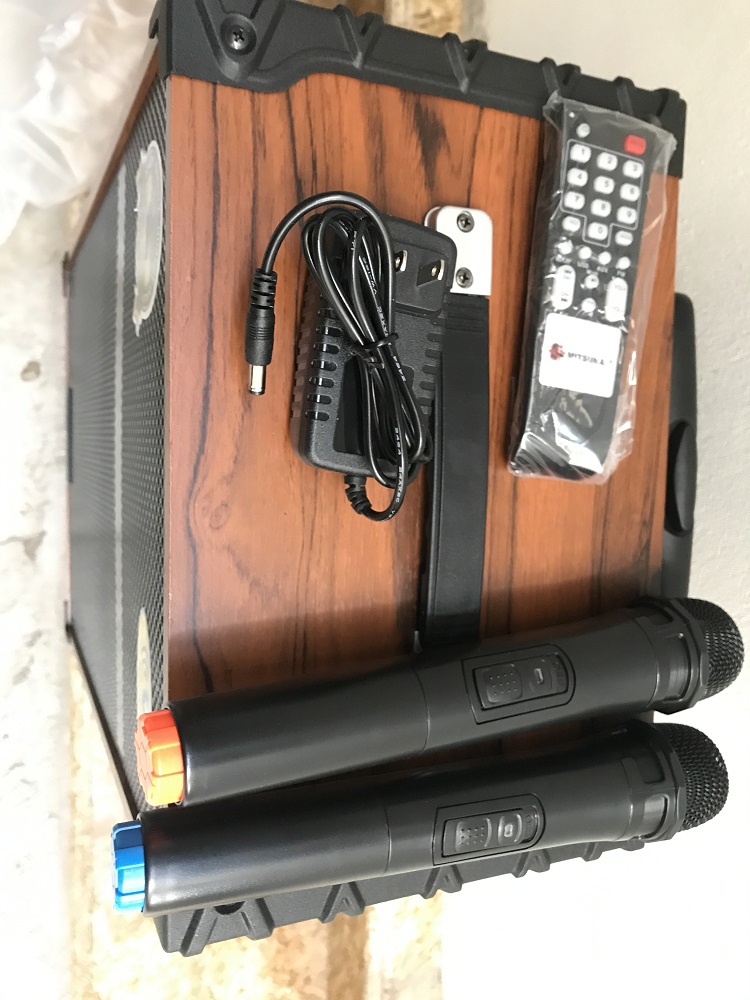 Loa kéo di động Mitsunal T1209 Bass 30 vỏ gỗ