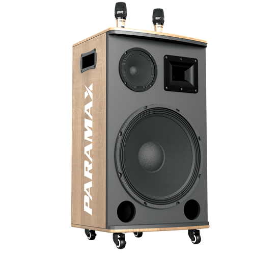 Loa kéo PARAMAX HG-265 (Kèm 2 micro ko dây) 400W Bass 40