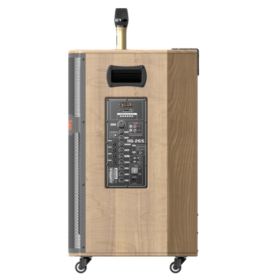 Loa kéo PARAMAX HG-265 (Kèm 2 micro ko dây) 400W Bass 40