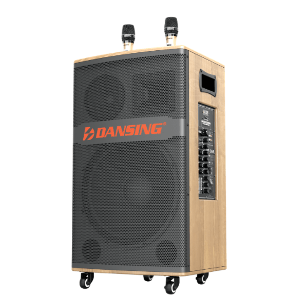 Loa kéo PARAMAX HG-265 (Kèm 2 micro ko dây) 400W Bass 40
