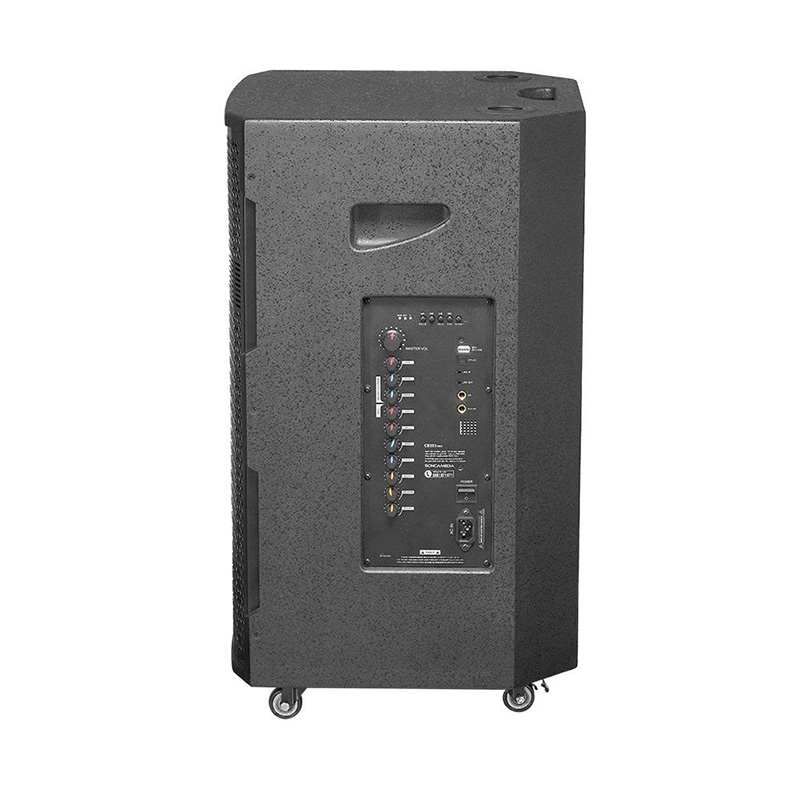 Loa kéo SONCAMEDIA CB393neo 750W Bass40 (2mic)
