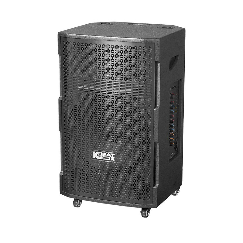 Loa kéo SONCAMEDIA CB393neo 750W Bass40 (2mic)