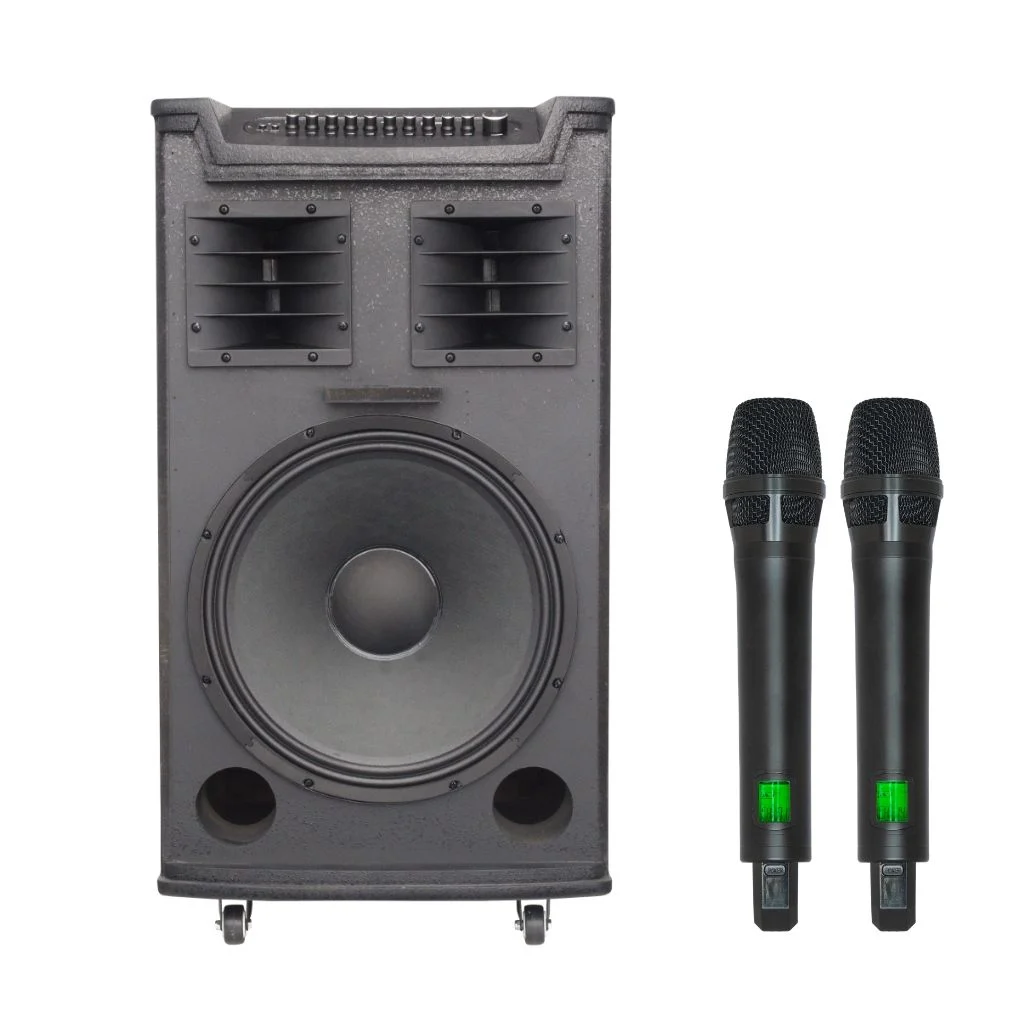 Loa kéo Soncamedia TOP 430 MAX RMS 600W PMPO 2200W Bass40